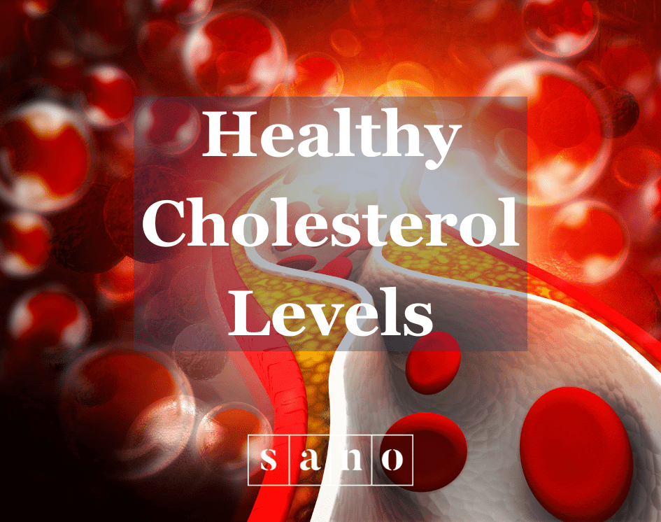 Healthy Cholesterol Levels